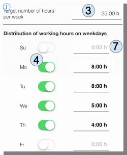 flext time manager